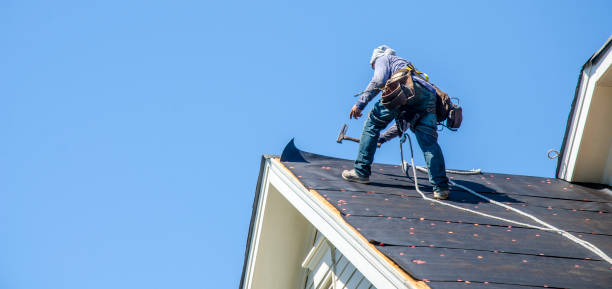 Best Roof Waterproofing Services  in Dover Base Housing, DE